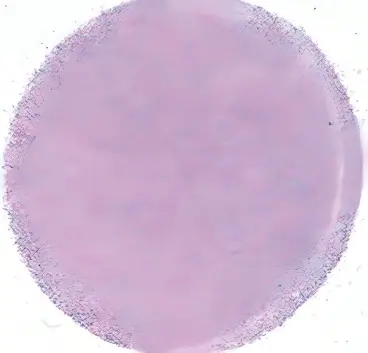 이미지-1.png22-1 (1)